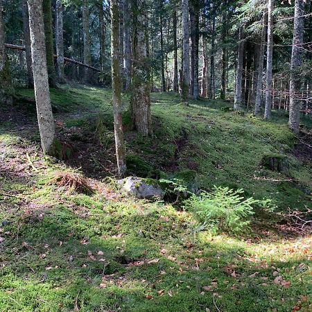 Gite " Oree Des Bois" Vertolaye Екстер'єр фото