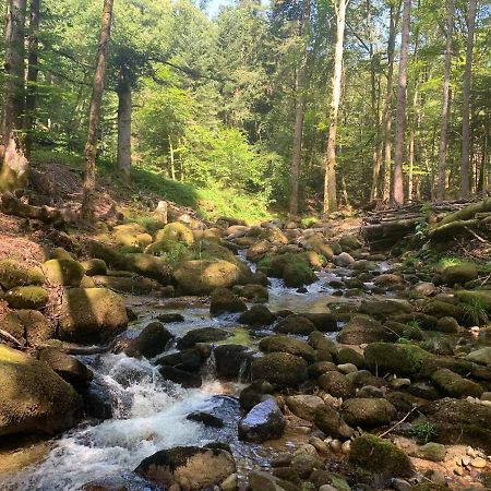 Gite " Oree Des Bois" Vertolaye Екстер'єр фото