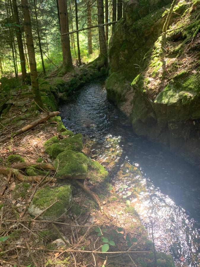 Gite " Oree Des Bois" Vertolaye Екстер'єр фото