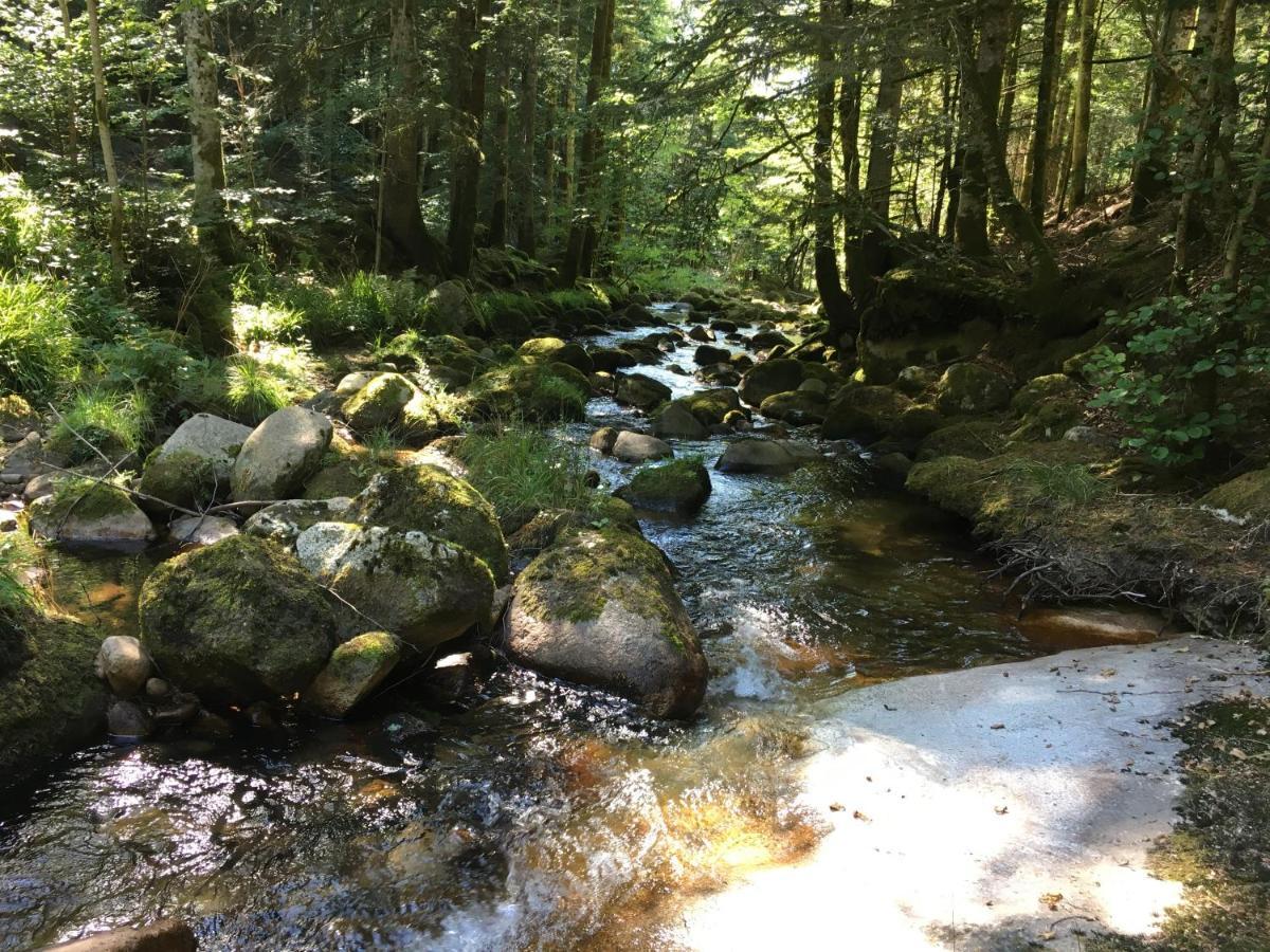 Gite " Oree Des Bois" Vertolaye Екстер'єр фото