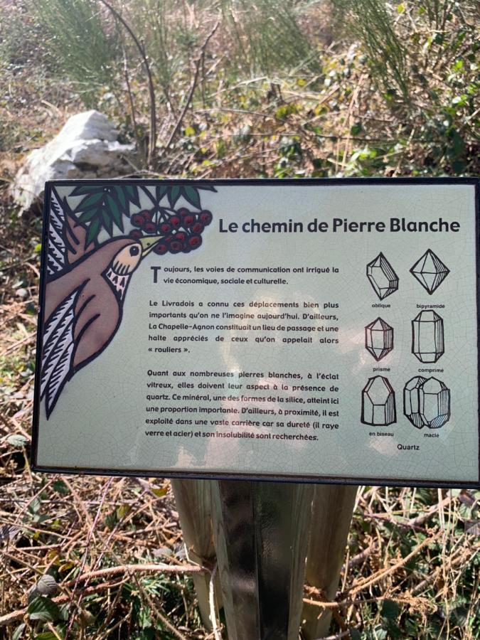 Gite " Oree Des Bois" Vertolaye Екстер'єр фото